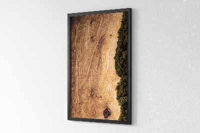 Framed moss wall art Oak natural wood plank