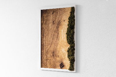 Framed moss wall art Oak natural wood plank