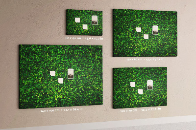 Pin board Leaves nature wall