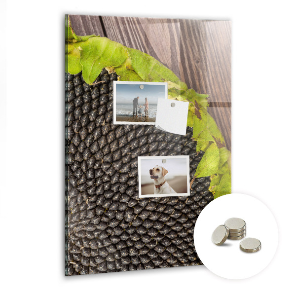 Magnetic board for wall Sunflower seeds