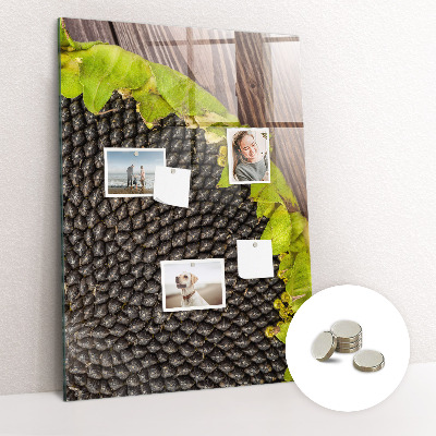 Magnetic board for wall Sunflower seeds