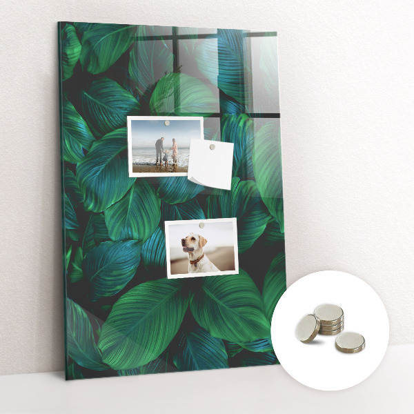 Magnetic board for wall Large tropical leaves