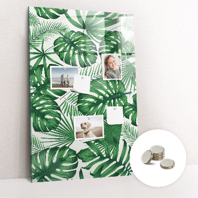 Magnetic board for wall Monster leaves plant
