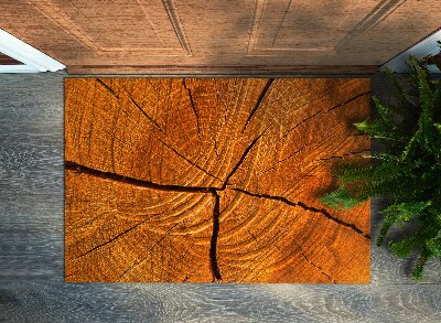 Door mat indoor Trunk tree