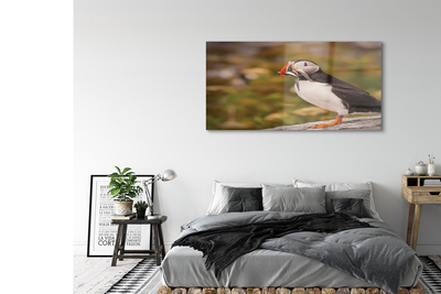 Acrylic print Parrot