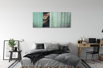 Acrylic print Cat zaglądający