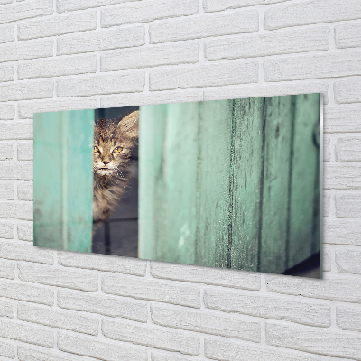 Acrylic print Cat zaglądający
