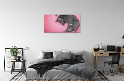 Acrylic print Cat lying