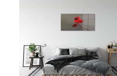 Acrylic print Red parrot on a branch