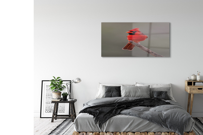 Acrylic print Red parrot on a branch