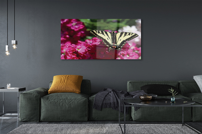 Acrylic print Butterfly flower