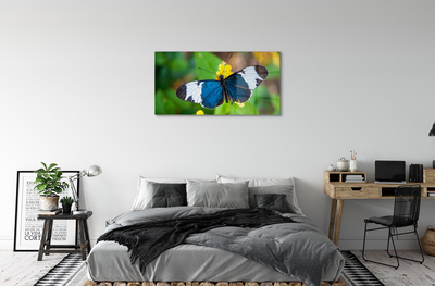 Acrylic print Colorful butterfly on flowers