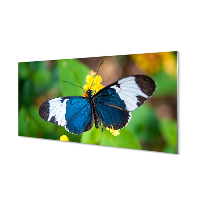 Acrylic print Colorful butterfly on flowers
