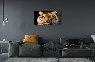Acrylic print Tiger