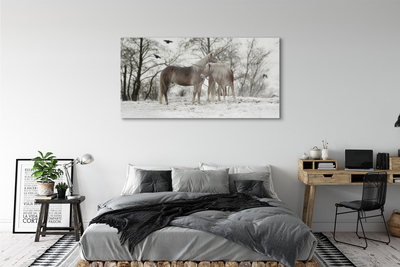 Acrylic print Unicorns winter forest