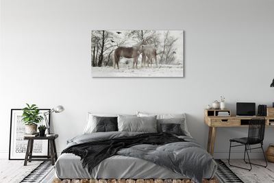 Acrylic print Unicorns winter forest