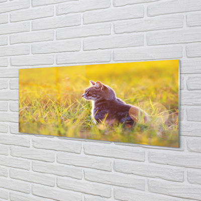 Acrylic print Hunting cat