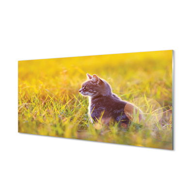Acrylic print Hunting cat