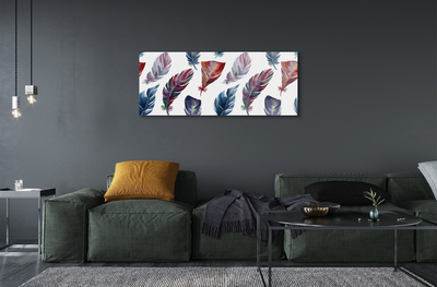 Acrylic print Colored feathers