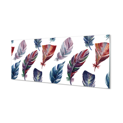 Acrylic print Colored feathers