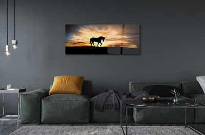Acrylic print Sunset unicorn