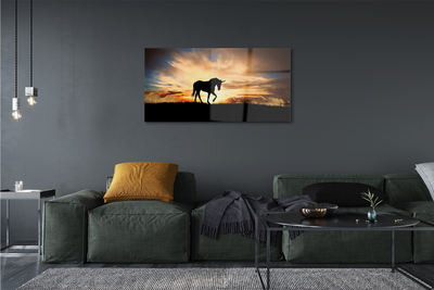 Acrylic print Sunset unicorn