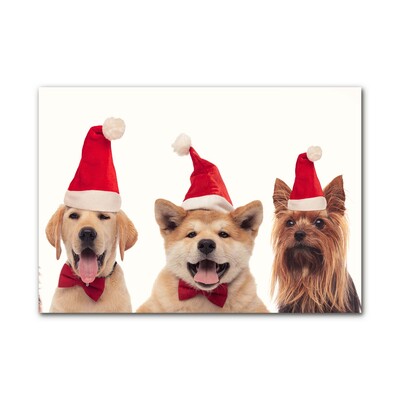 Acrylic Print Dogs Santa Claus Christmas