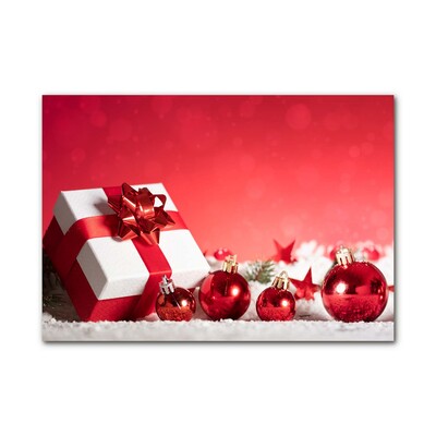 Plexiglas® Wall Art Christmas Gift Christmas Snow
