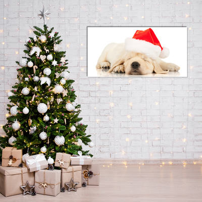 Acrylic Print Puppy Santa Hat Winter