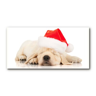 Acrylic Print Puppy Santa Hat Winter