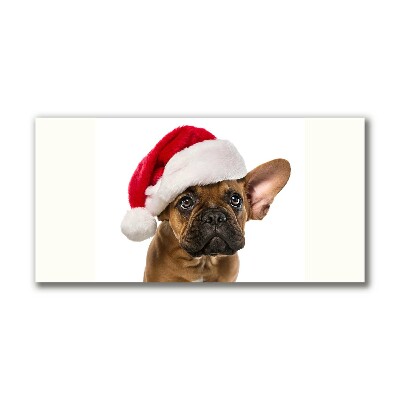 Canvas print Bulldog Dog Christmas