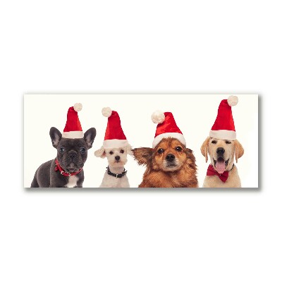 Canvas print Dogs Santa Claus Christmas