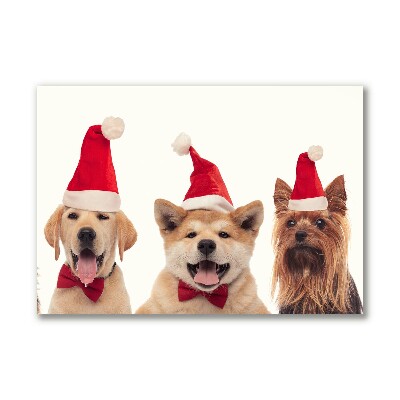Canvas print Dogs Santa Claus Christmas