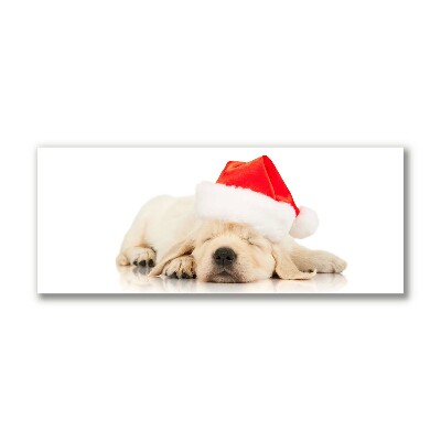 Canvas print Puppy Santa Hat Winter