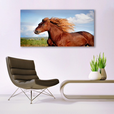 Canvas print Horse animals brown blue green