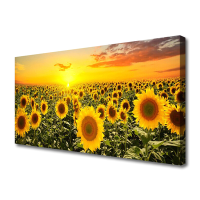 Canvas print Sunflowers floral yellow green