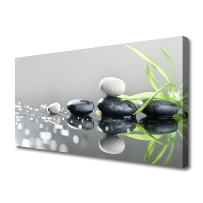 Canvas print Stones grass art black white grey green