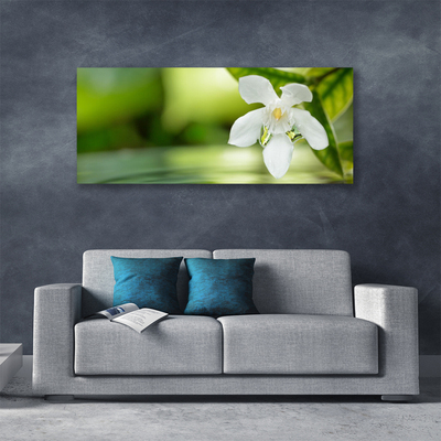 Canvas print Flower leaves floral white green