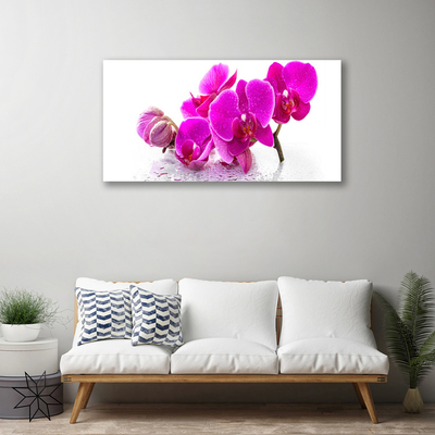 Canvas print Flowers floral pink