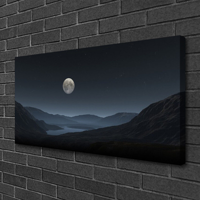 Canvas print Night moon landscape grey black