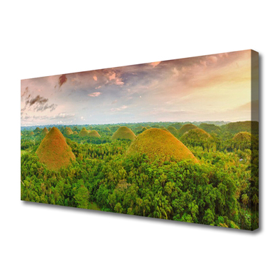 Canvas print Forest nature green