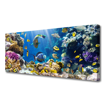 Canvas print Coral reef nature multi