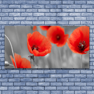 Canvas Wall art Poppies floral red grey