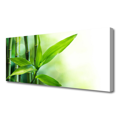 Canvas Wall art Bamboo canes floral green