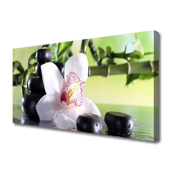 Canvas Wall art Bamboo cane flower stones floral green white black