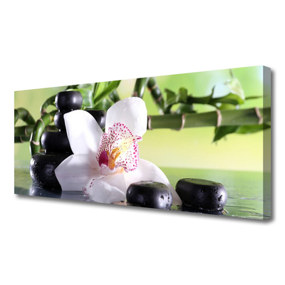 Canvas Wall art Bamboo cane flower stones floral green white black