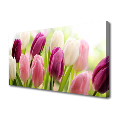 Canvas Wall art Tulips floral white red pink