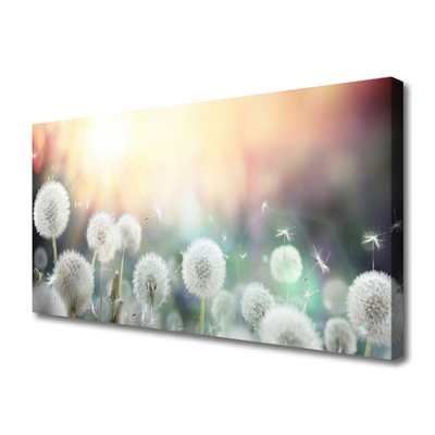 Canvas Wall art Dandelion floral white grey