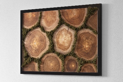 Moss wall art Cross-section of a tree trunk