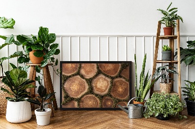 Moss wall art Cross-section of a tree trunk